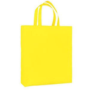 500 Each Case Pack : Non Woven Plain Laminated Bags